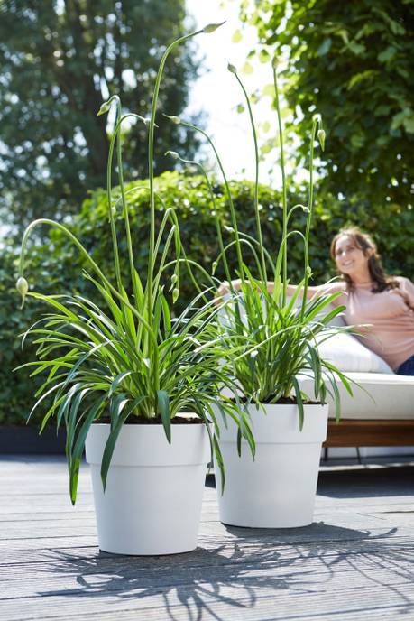 vibia straight round 30cm white